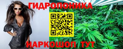 гидропоника Гай